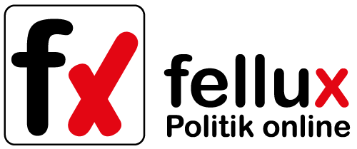 fellux | Politik im Internet